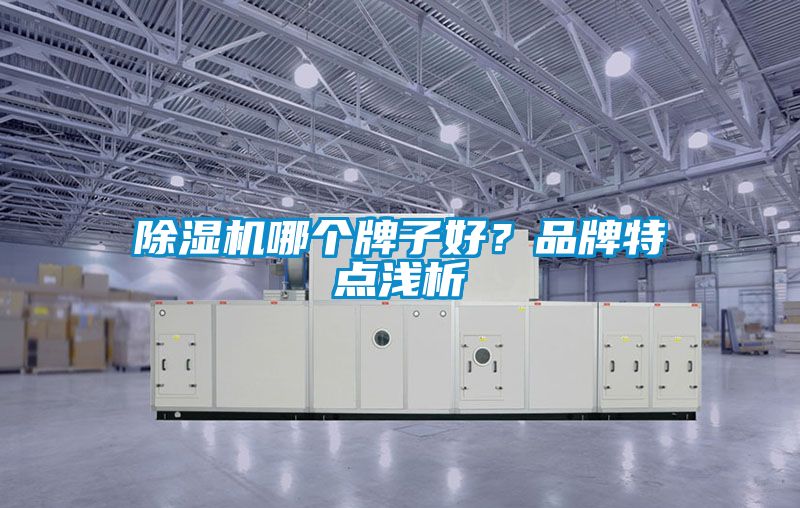 除濕機哪個牌子好？品牌特點淺析