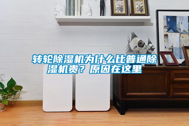 轉輪除濕機為什么比普通除濕機貴？原因在這里