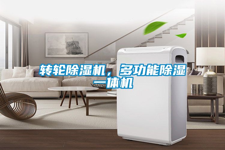 轉(zhuǎn)輪除濕機，多功能除濕一體機