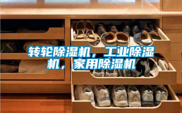 轉(zhuǎn)輪除濕機(jī)，工業(yè)除濕機(jī)，家用除濕機(jī)
