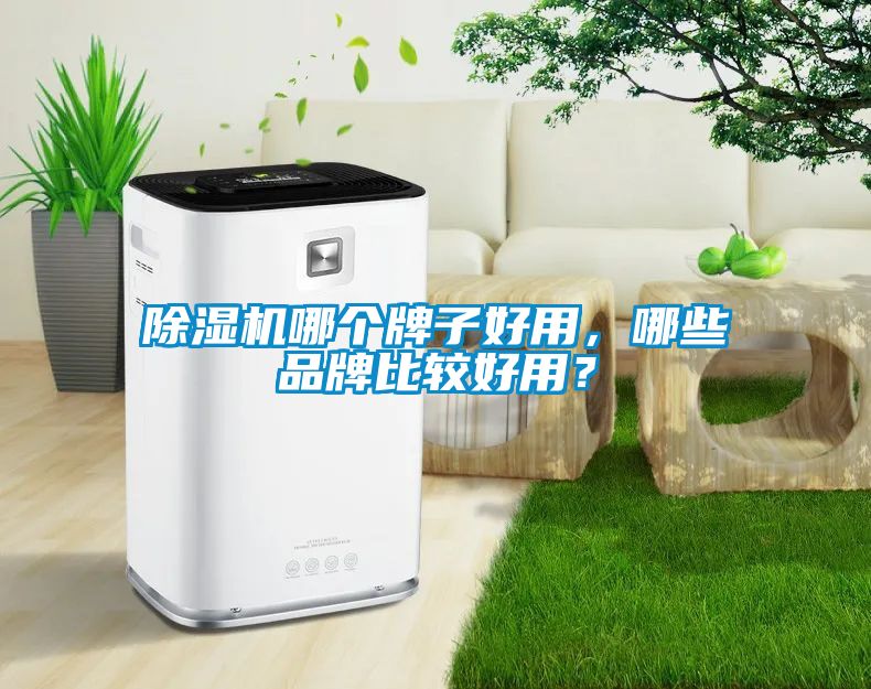 除濕機哪個牌子好用，哪些品牌比較好用？