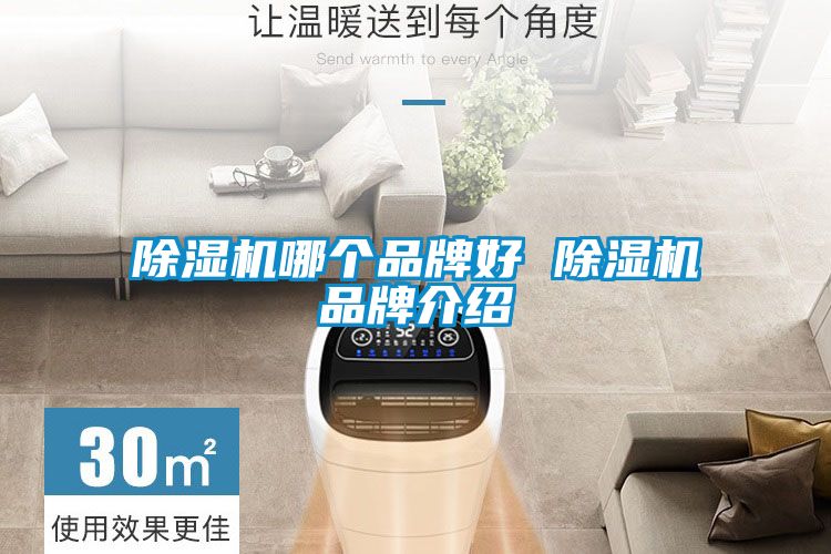 除濕機(jī)哪個品牌好 除濕機(jī)品牌介紹