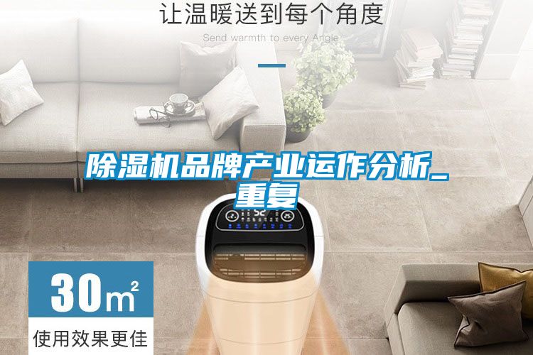 除濕機品牌產(chǎn)業(yè)運作分析_重復(fù)