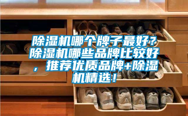 除濕機(jī)哪個(gè)牌子最好？除濕機(jī)哪些品牌比較好，推薦優(yōu)質(zhì)品牌+除濕機(jī)精選！