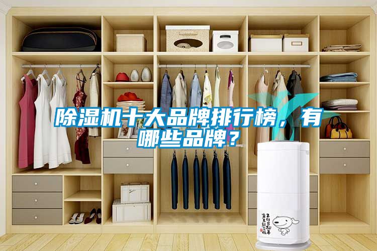 除濕機十大品牌排行榜，有哪些品牌？