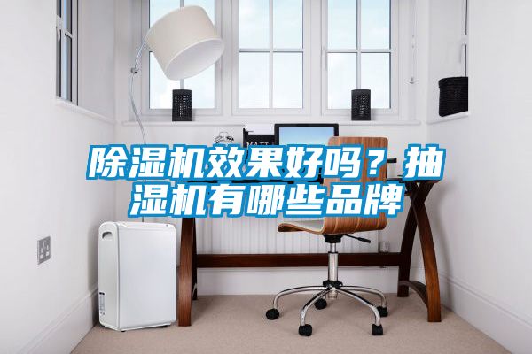 除濕機效果好嗎？抽濕機有哪些品牌