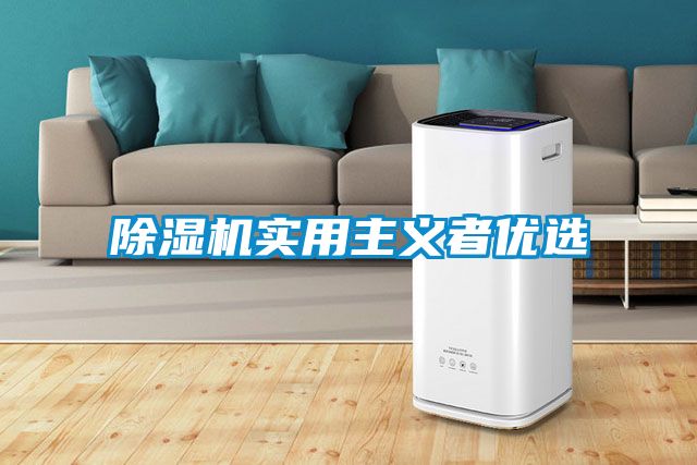 除濕機(jī)實用主義者優(yōu)選
