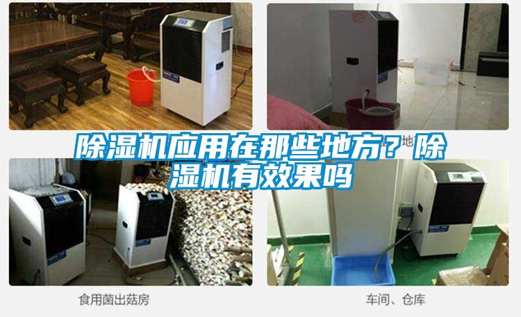 除濕機應用在那些地方？除濕機有效果嗎