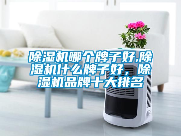 除濕機哪個牌子好,除濕機什么牌子好，除濕機品牌十大排名