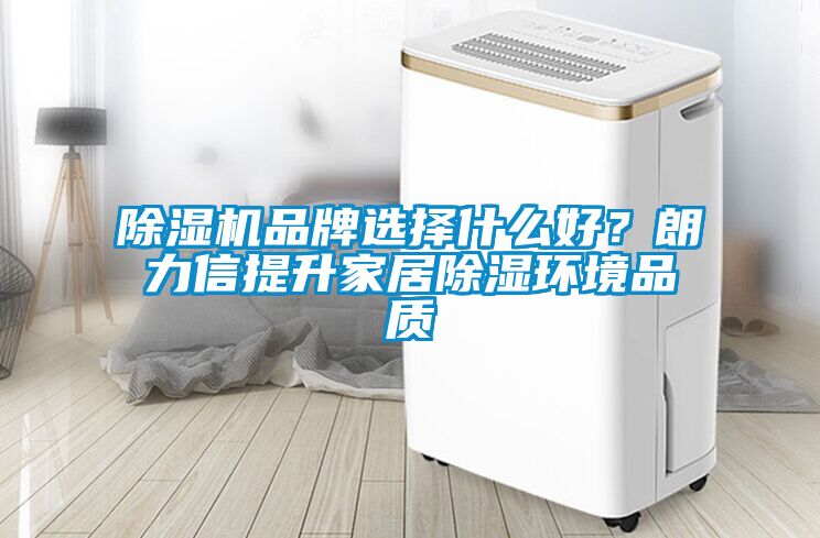 除濕機品牌選擇什么好？朗力信提升家居除濕環境品質