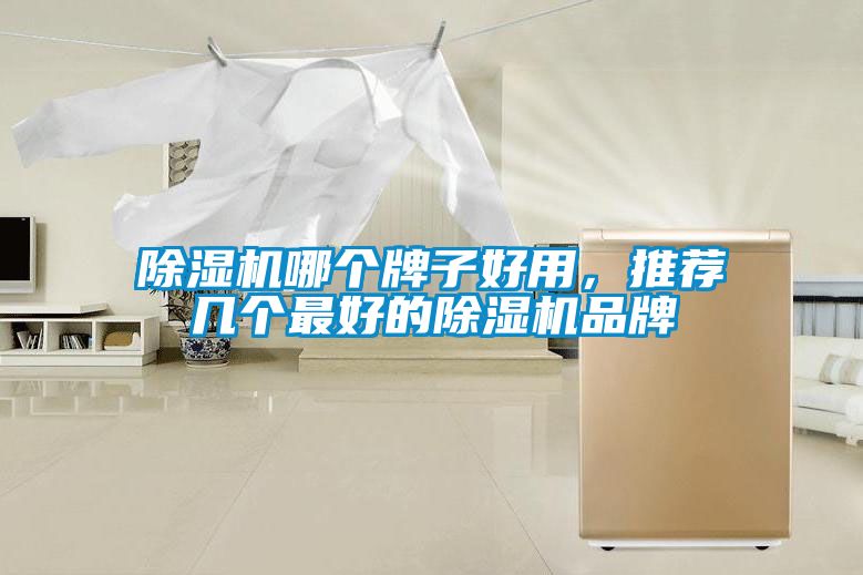 除濕機哪個牌子好用，推薦幾個最好的除濕機品牌
