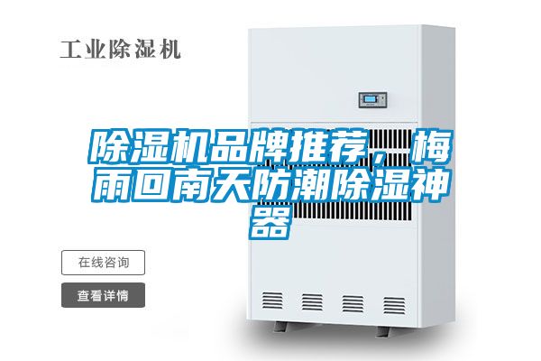 除濕機品牌推薦，梅雨回南天防潮除濕神器
