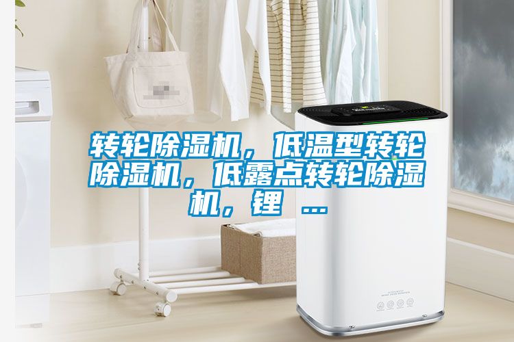 轉(zhuǎn)輪除濕機(jī)，低溫型轉(zhuǎn)輪除濕機(jī)，低露點(diǎn)轉(zhuǎn)輪除濕機(jī)，鋰 ...