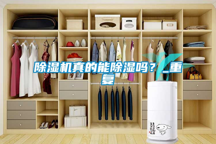 除濕機真的能除濕嗎？_重復