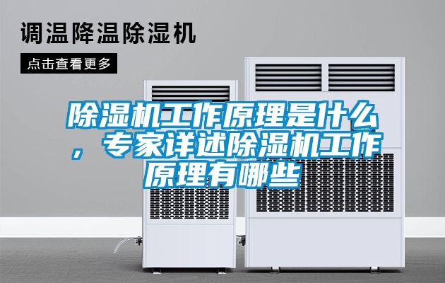 除濕機(jī)工作原理是什么，專(zhuān)家詳述除濕機(jī)工作原理有哪些