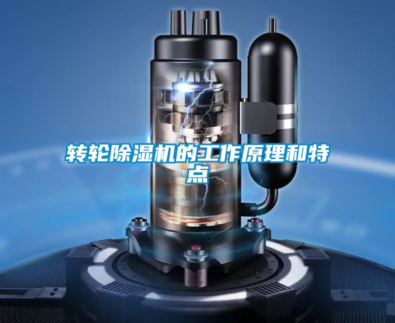 轉(zhuǎn)輪除濕機的工作原理和特點