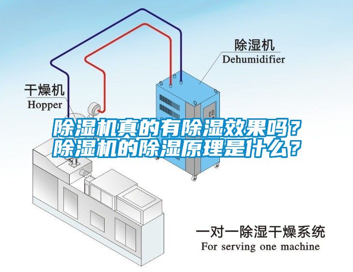除濕機(jī)真的有除濕效果嗎？除濕機(jī)的除濕原理是什么？