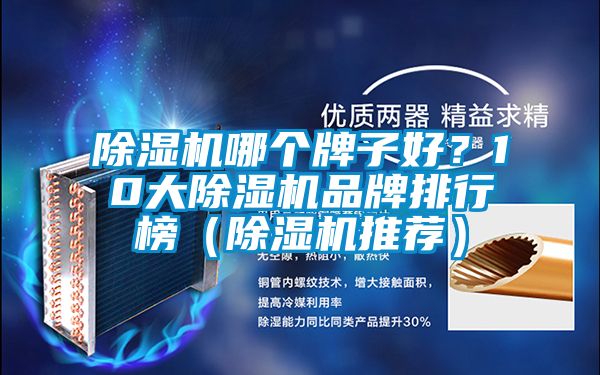 除濕機哪個牌子好？10大除濕機品牌排行榜（除濕機推薦）