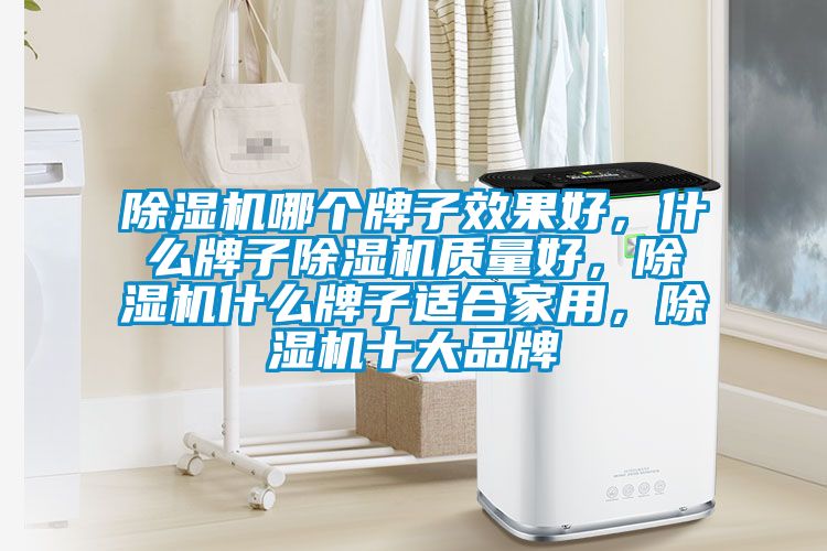 除濕機哪個牌子效果好，什么牌子除濕機質量好，除濕機什么牌子適合家用，除濕機十大品牌