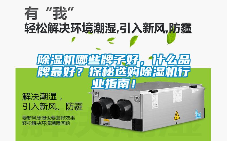 除濕機(jī)哪些牌子好，什么品牌最好？探秘選購(gòu)除濕機(jī)行業(yè)指南！