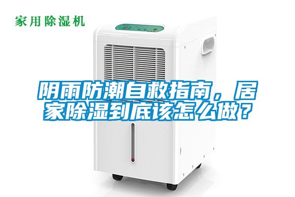 陰雨防潮自救指南，居家除濕到底該怎么做？