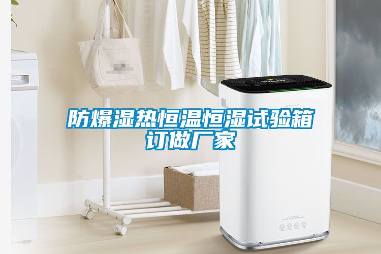 防爆濕熱恒溫恒濕試驗(yàn)箱訂做廠家