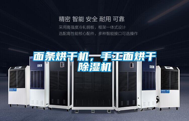 面條烘干機，手工面烘干除濕機