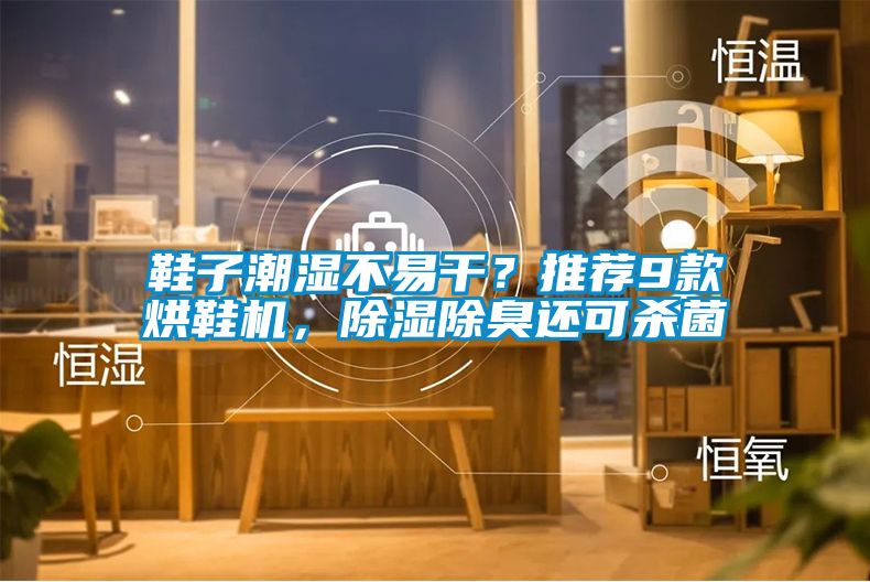 鞋子潮濕不易干？推薦9款烘鞋機，除濕除臭還可殺菌
