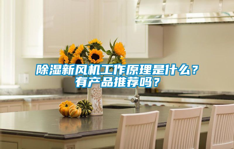 除濕新風(fēng)機(jī)工作原理是什么？有產(chǎn)品推薦嗎？