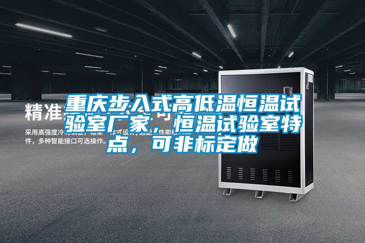 重慶步入式高低溫恒溫試驗(yàn)室廠家，恒溫試驗(yàn)室特點(diǎn)，可非標(biāo)定做