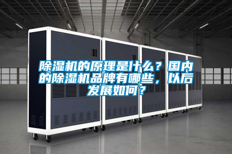 除濕機的原理是什么？國內的除濕機品牌有哪些，以后發(fā)展如何？