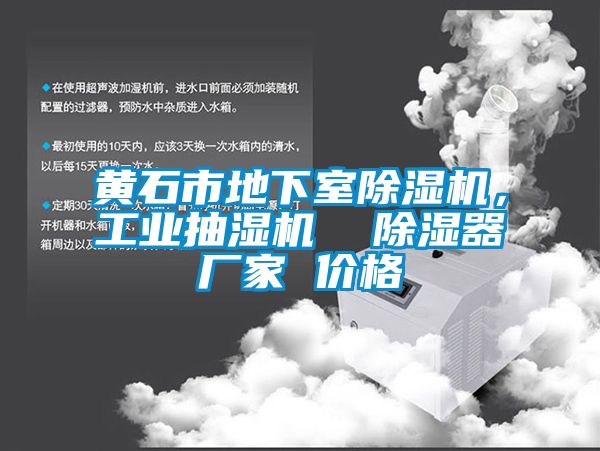 黃石市地下室除濕機，工業抽濕機  除濕器廠家 價格