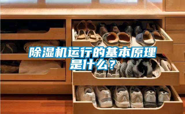 除濕機(jī)運(yùn)行的基本原理是什么？