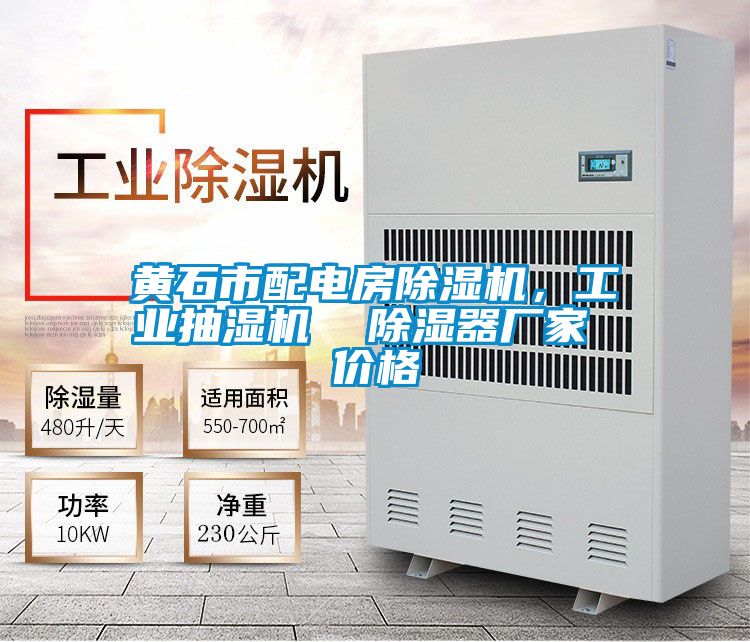 黃石市配電房除濕機，工業抽濕機  除濕器廠家 價格