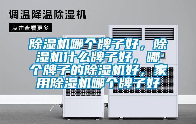 除濕機(jī)哪個(gè)牌子好，除濕機(jī)什么牌子好，哪個(gè)牌子的除濕機(jī)好，家用除濕機(jī)哪個(gè)牌子好