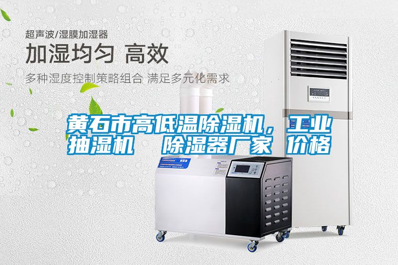 黃石市高低溫除濕機，工業抽濕機  除濕器廠家 價格
