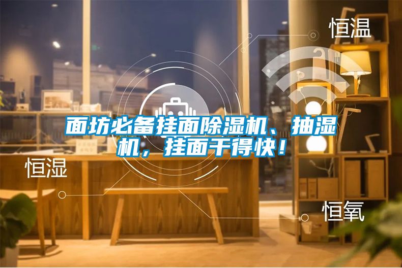 面坊必備掛面除濕機、抽濕機，掛面干得快！