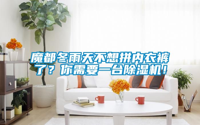 魔都冬雨天不想拼內(nèi)衣褲了？你需要一臺(tái)除濕機(jī)！