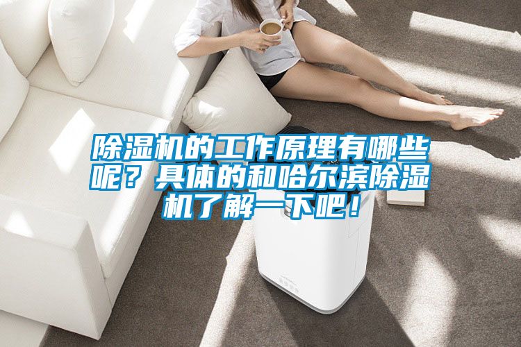 除濕機的工作原理有哪些呢？具體的和哈爾濱除濕機了解一下吧！