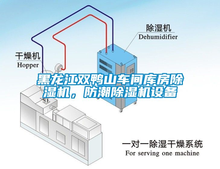 黑龍江雙鴨山車間庫房除濕機，防潮除濕機設備