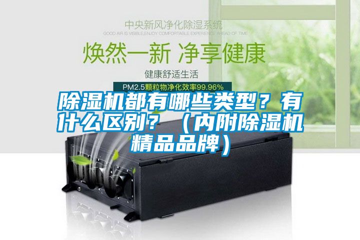 除濕機都有哪些類型？有什么區(qū)別？（內(nèi)附除濕機精品品牌）