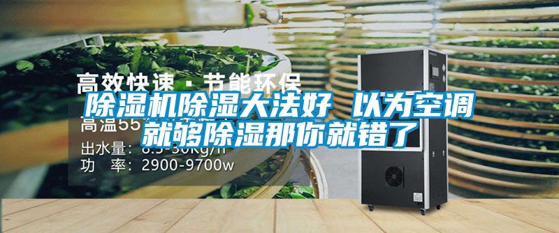 除濕機(jī)除濕大法好 以為空調(diào)就夠除濕那你就錯了