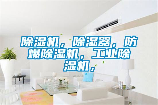 除濕機，除濕器，防爆除濕機，工業(yè)除濕機，