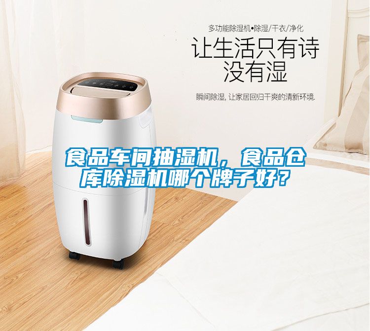 食品車間抽濕機，食品倉庫除濕機哪個牌子好？