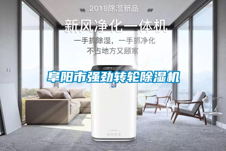 阜陽(yáng)市強(qiáng)勁轉(zhuǎn)輪除濕機(jī)