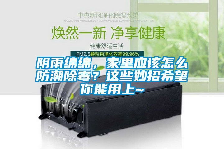 陰雨綿綿，家里應該怎么防潮除霉？這些妙招希望你能用上~