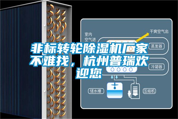 非標轉(zhuǎn)輪除濕機廠家不難找，杭州普瑞歡迎您