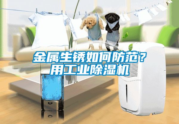 金屬生銹如何防范？用工業(yè)除濕機(jī)