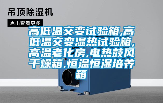 高低溫交變試驗箱,高低溫交變濕熱試驗箱,高溫老化房,電熱鼓風干燥箱,恒溫恒濕培養(yǎng)箱