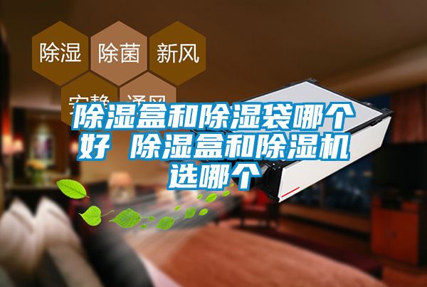 除濕盒和除濕袋哪個好 除濕盒和除濕機(jī)選哪個
